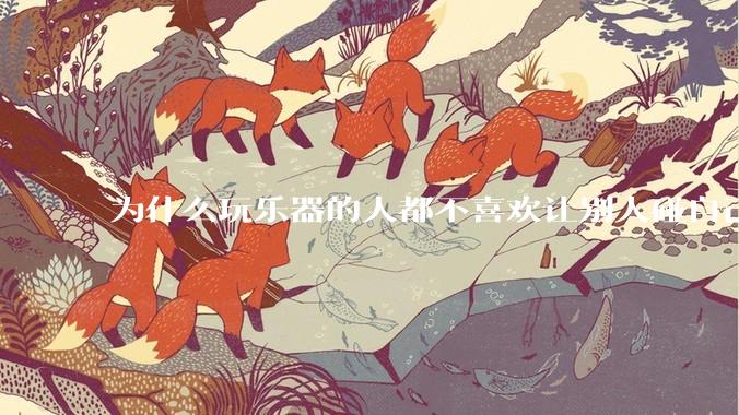 为什么玩乐器的人都不喜欢让别人碰自己的乐器？