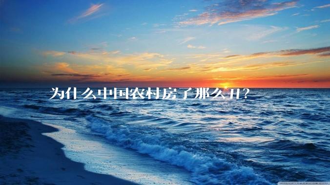 为什么中国农村房子那么丑？