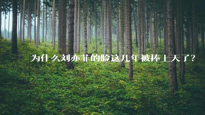 为什么刘亦菲的脸这几年被捧上天了？
